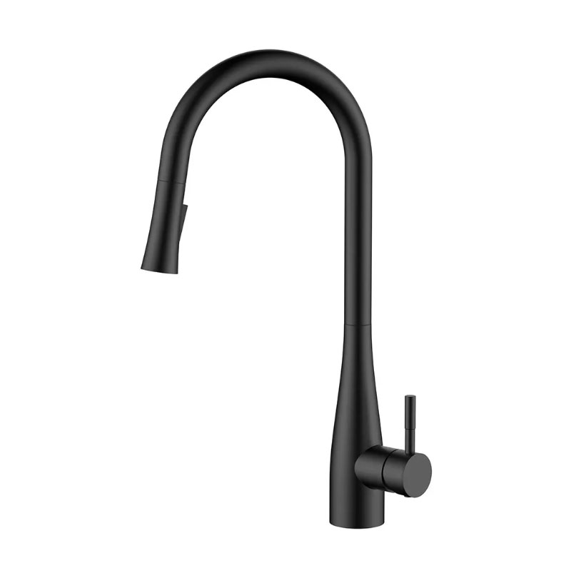 Modern Matte Black Kitchen Faucet Stainless Steel