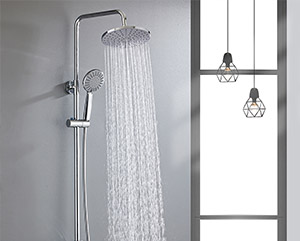 Shower set